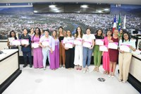Audiência Pública promovida pela Câmara de Vereadores marca o 'Agosto Lilás' na cidade