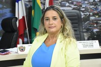 Moana Meira propõe ampliação da ponte da Avenida Presidente João Goulart