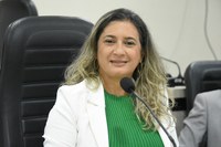Moana Meira propõe Audiência Pública para debater fiscalização de trânsito