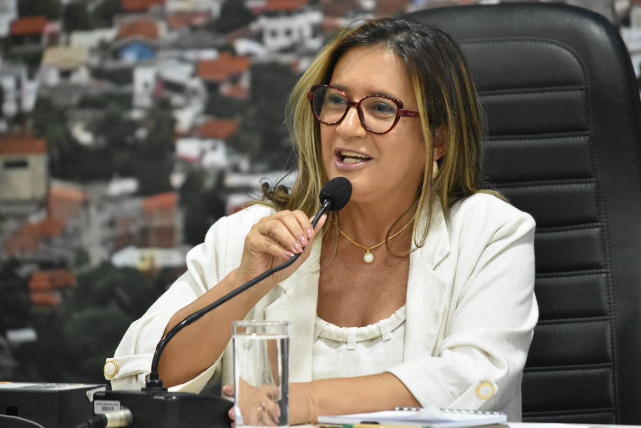 Moana Meira propõe campanha para o combate à violência contra a mulher
