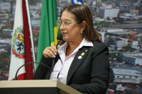 Moana Meira solicita ampliação da frota de veículos específicos para transporte de  cadeirantes e pessoas com microcefalia