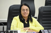Professora Cida cobra implantação de rede de esgotamento sanitário e pavimentação de ruas da Vila Rodoviária