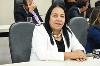 Professora Cida propõe construção de praça entre Água Branca e Vila Vitória