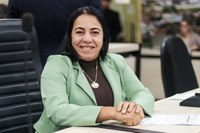 Professora Cida propõe passarela elevada em frente a unidades escolares