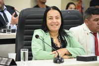 Professora Cida requer rede de esgotamento e pavimentação para a Vila Rodoviária