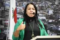 Vereadora Professora Cida defende revitalização da Passarela da Rua São Luiz