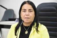 Vereadora Professora Cida pede revitalização e ampliação do Colégio Municipalizado Jornalista Fernando Barreto