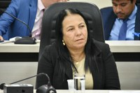 Vereadora Professora Cida propõe ampliação das ações de incentivo a doação voluntária de sangue