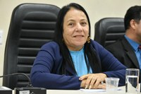 Vereadora Professora Cida solicita pavimentação da Rua Corredor da Água Branca
